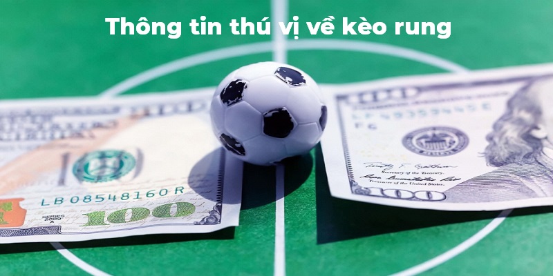 Những thông tin thú vị về kèo rung bóng đá